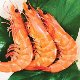 FRESHCATCH