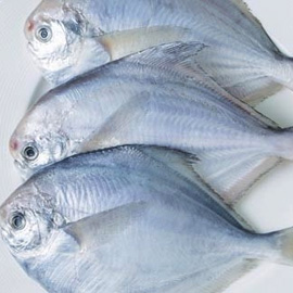 FRESHCATCH