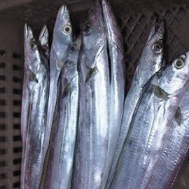 FRESHCATCH